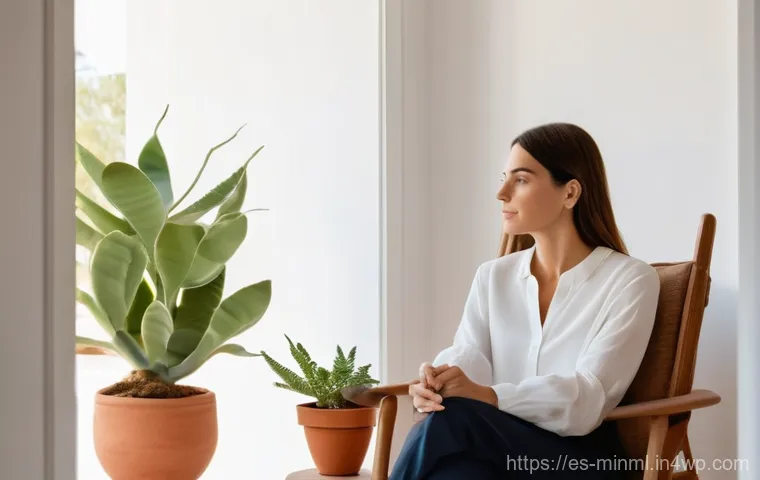 미니멀리즘 경제학과 자원의 효율적 사용 - Image Prompt 1: The Serene Minimalist Home**